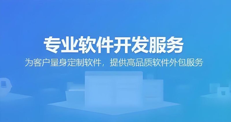 定制化软件服务